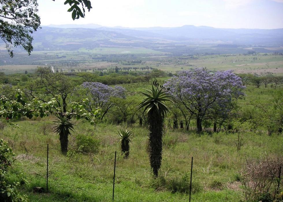 Mon Desir Villa Pietermaritzburg Buitenkant foto