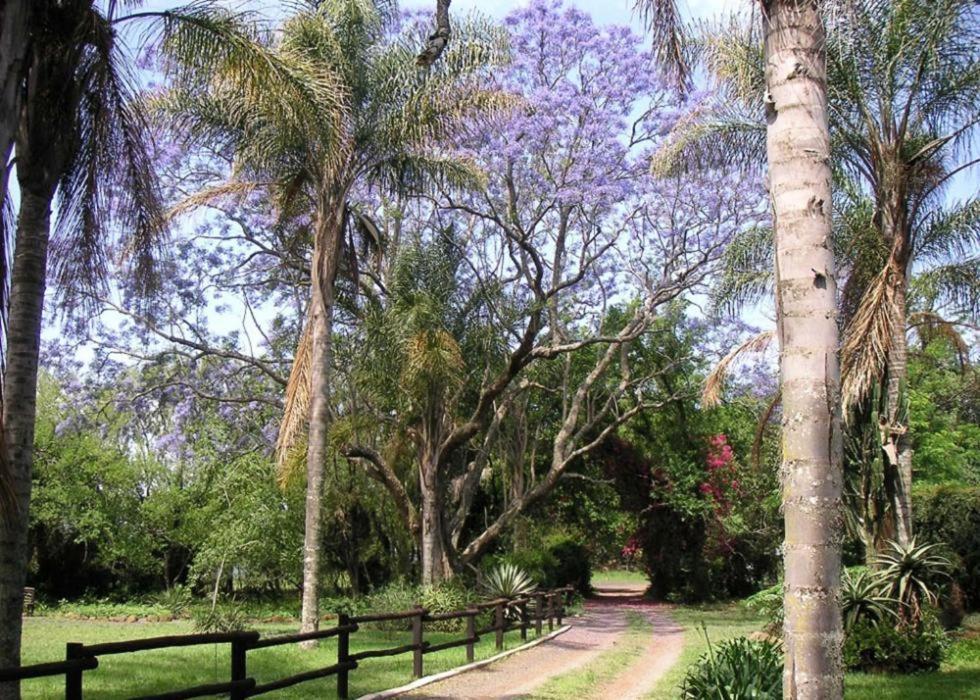 Mon Desir Villa Pietermaritzburg Buitenkant foto